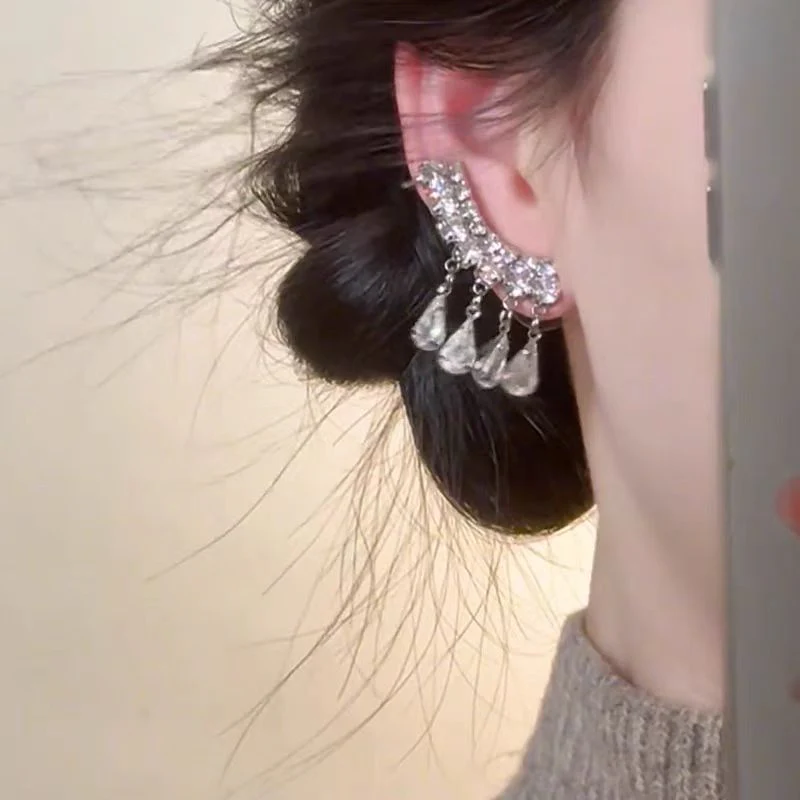 🌸French Drop Crystal Tassel Earrings - Image 2