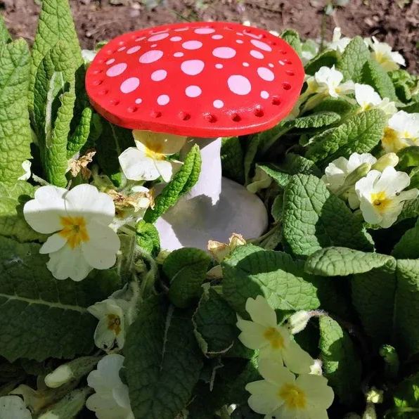 🍄Mushroom Earring Holder Decorative Ornament - Image 3