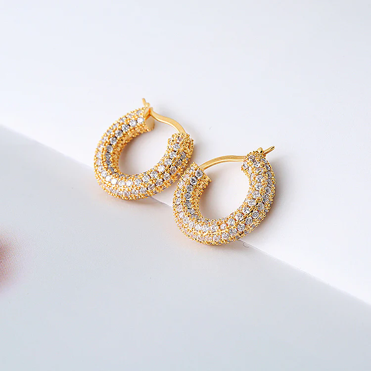Sparkling Hoop Fashion Earrings