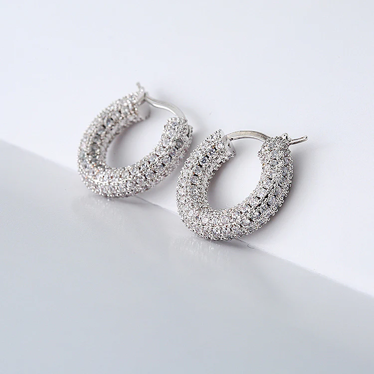 Sparkling Hoop Fashion Earrings - Image 4